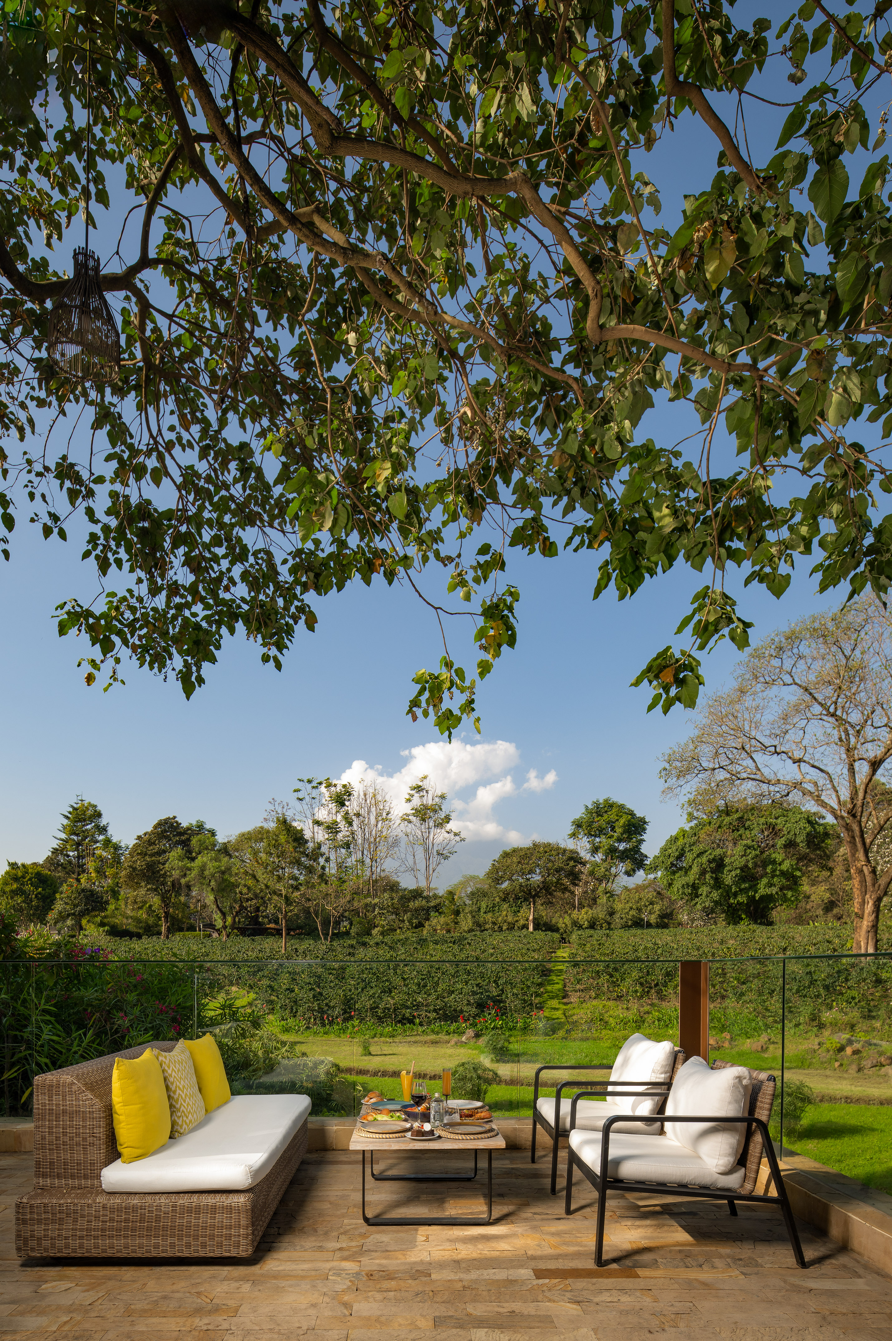 Outdoor patio with breakfast setup, wicker furniture, and lush coffee farm view.