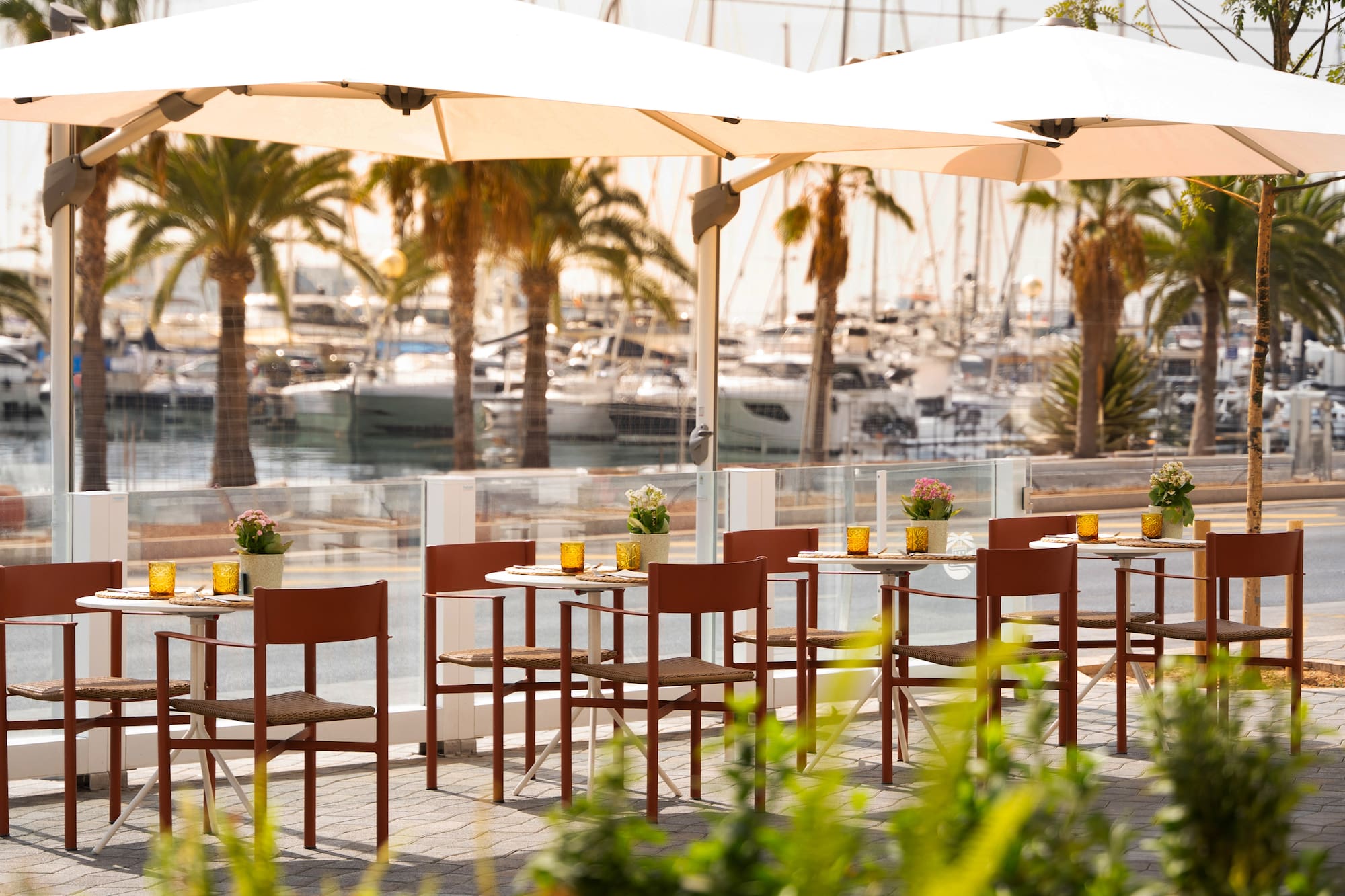 Cafe patio with tables, brown chairs, umbrellas, marina, and palm trees.