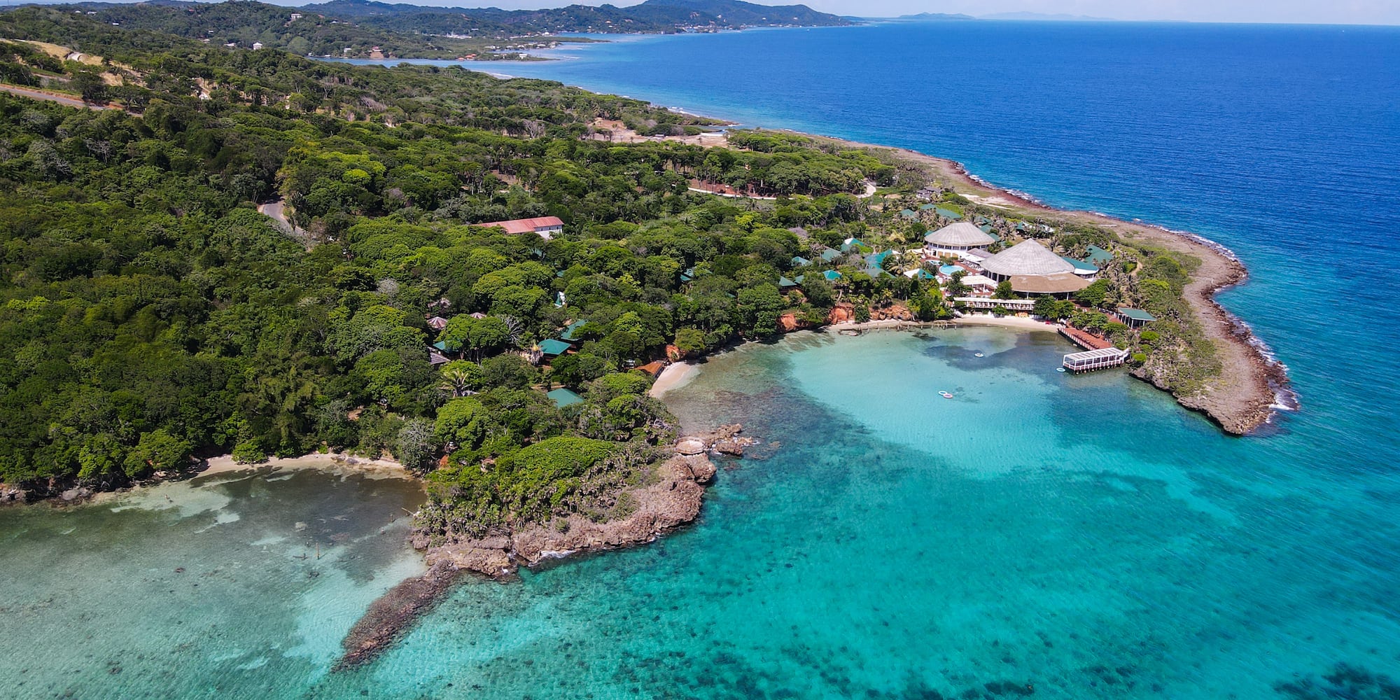 a aerial view of a beach with trees and a body of water