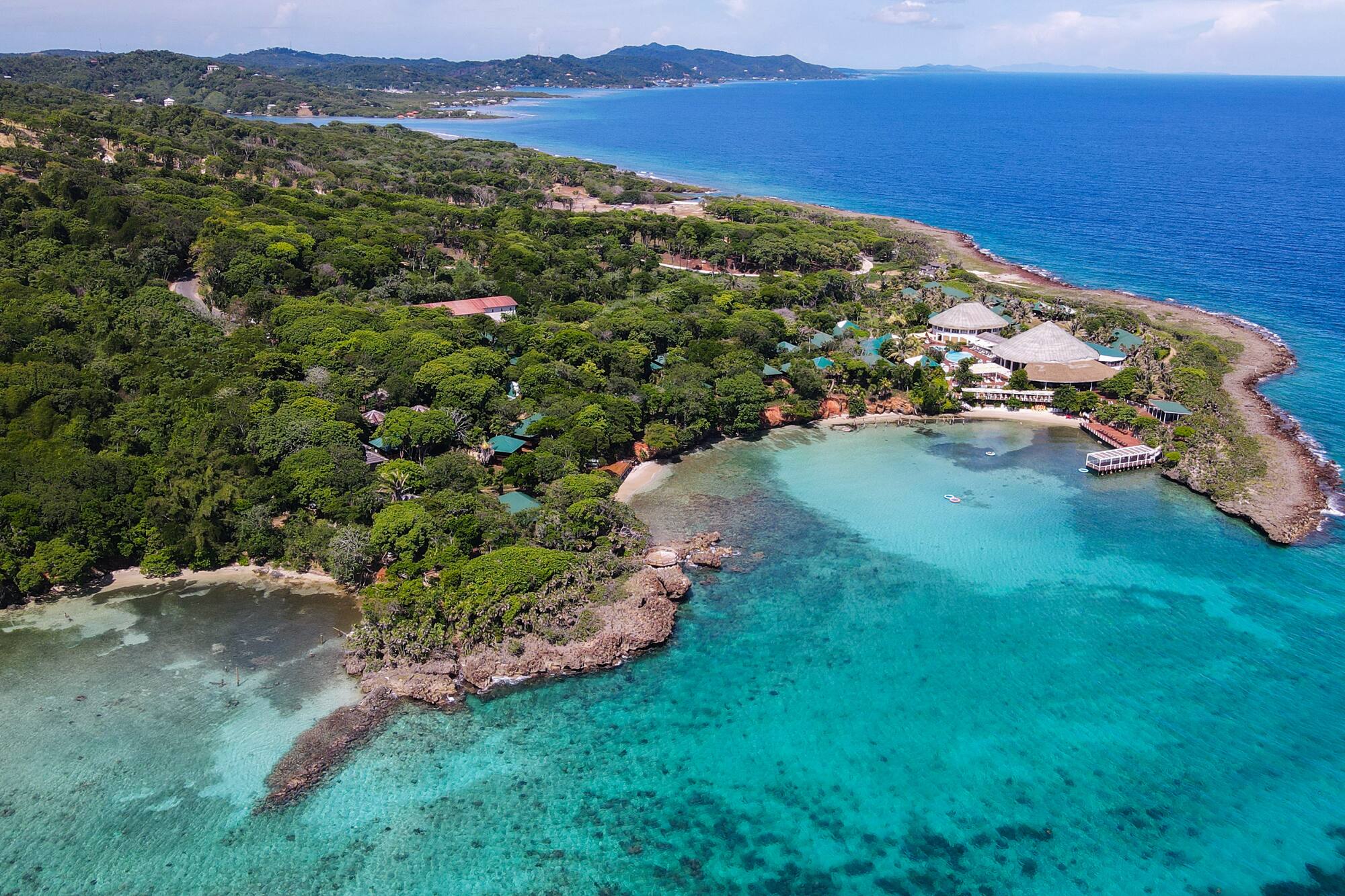 a aerial view of a beach with trees and a body of water