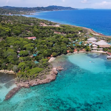 a aerial view of a beach with trees and a body of water