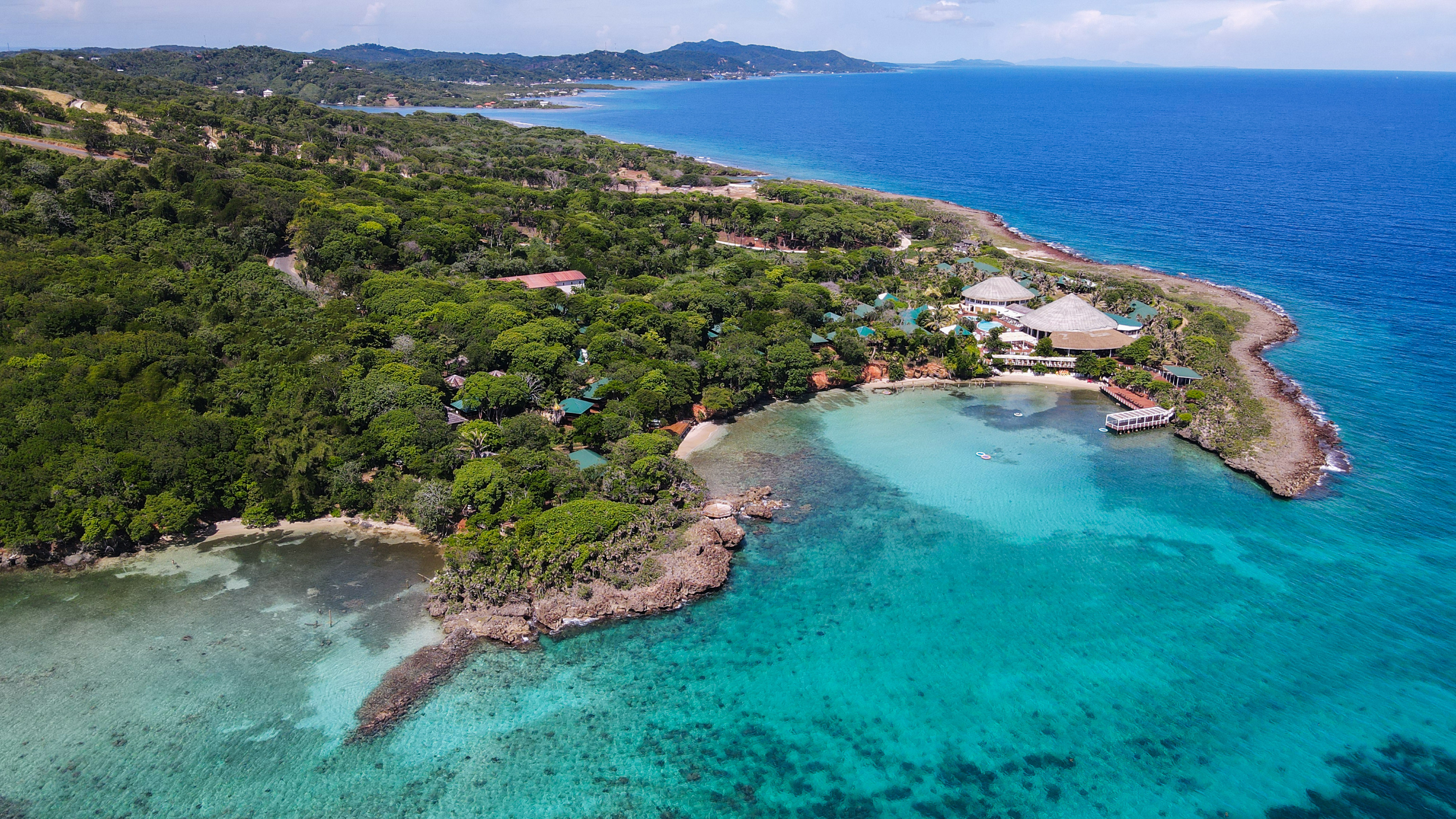 a aerial view of a beach with trees and a body of water