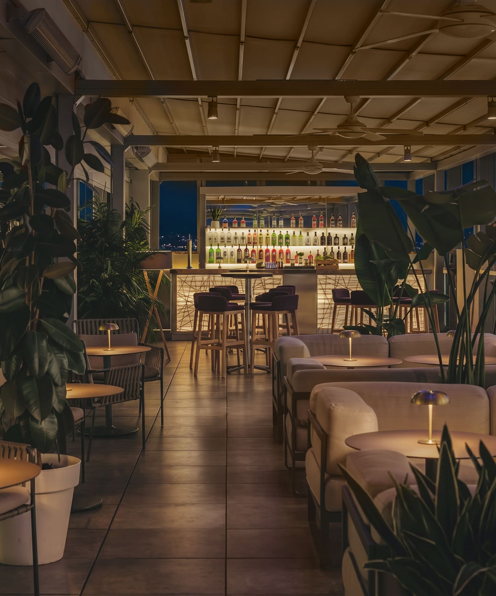 Elegant rooftop lounge bar at night with illuminated bottles and lush plants.