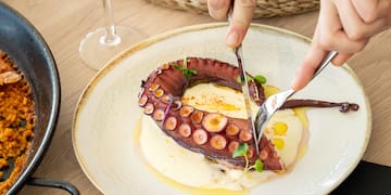 a person cutting a octopus on a plate