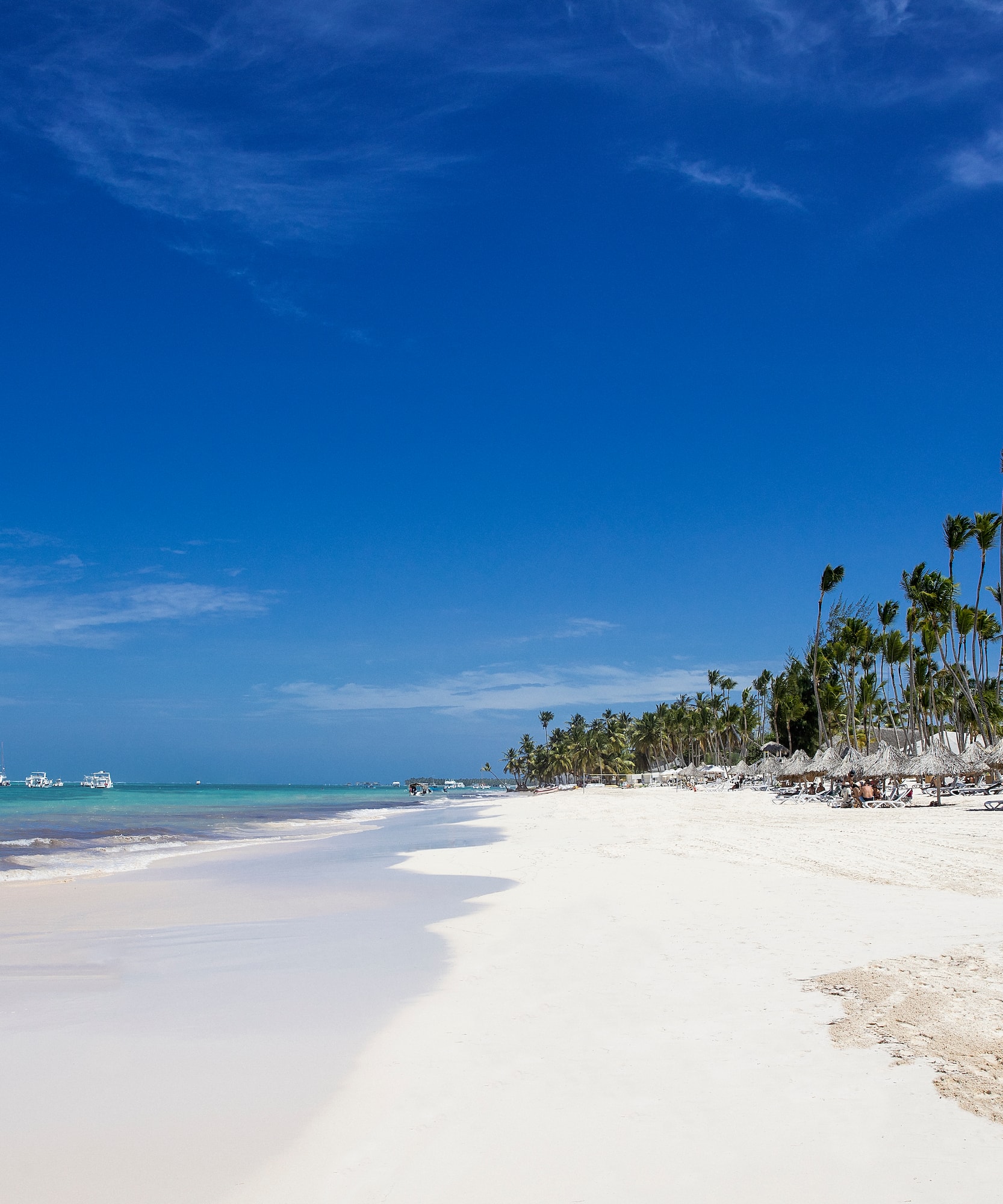 a beach with palm trees and blue water