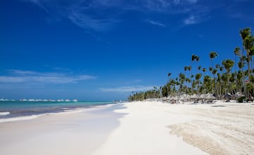 a beach with palm trees and blue water