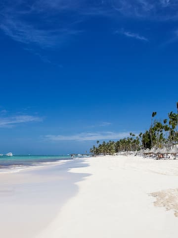 a beach with palm trees and blue water