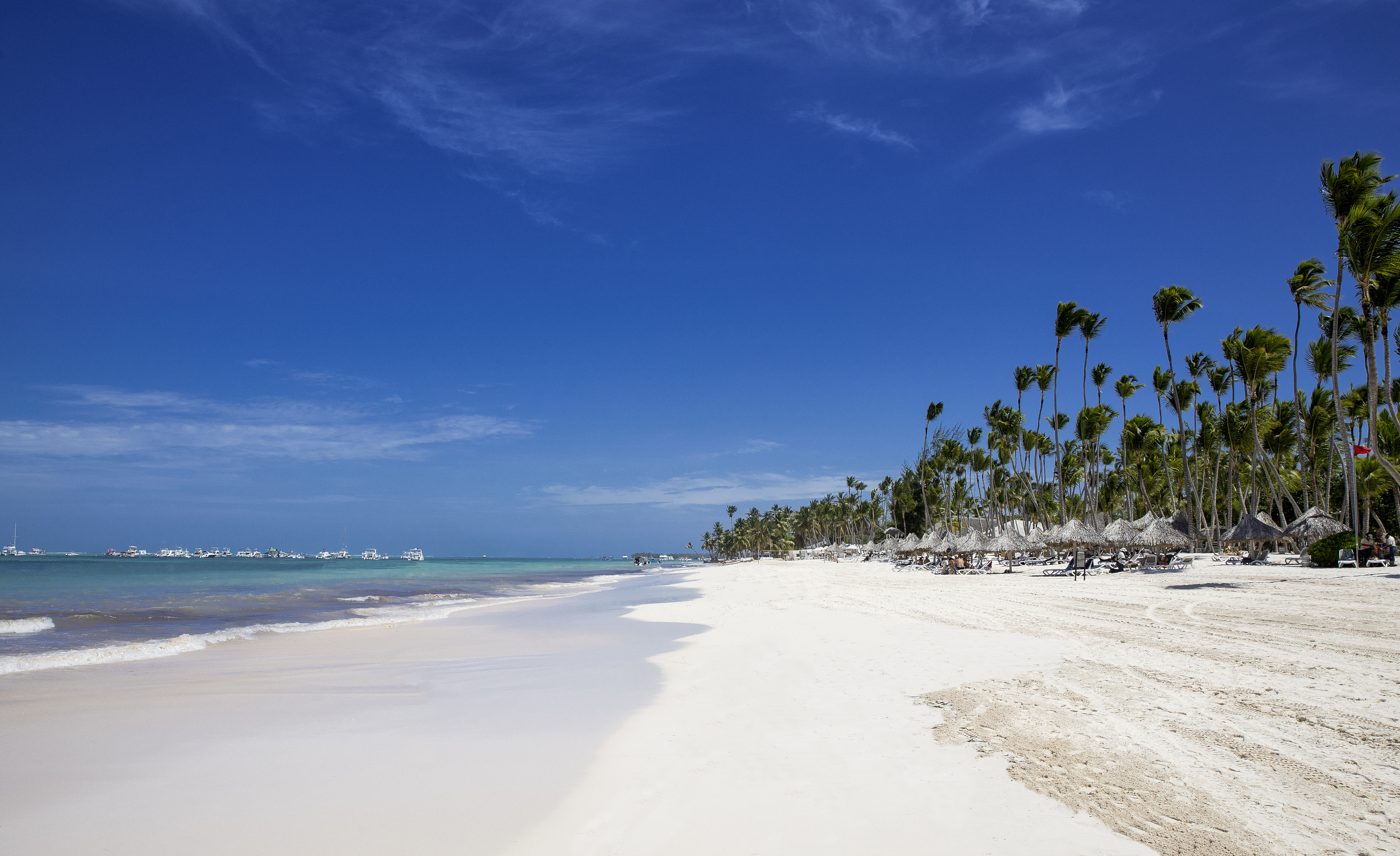 a beach with palm trees and blue water