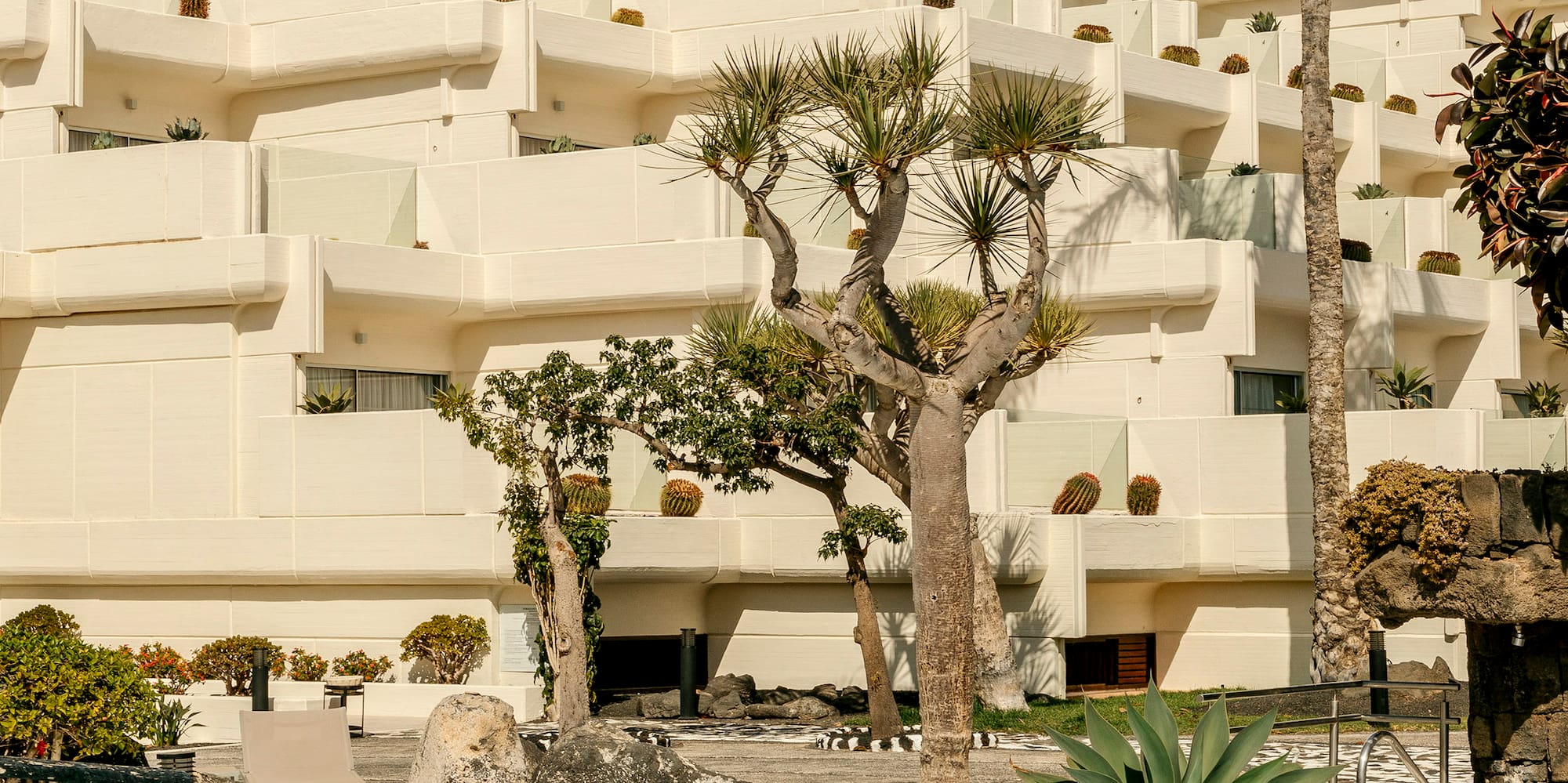a white building with palm trees and a pool