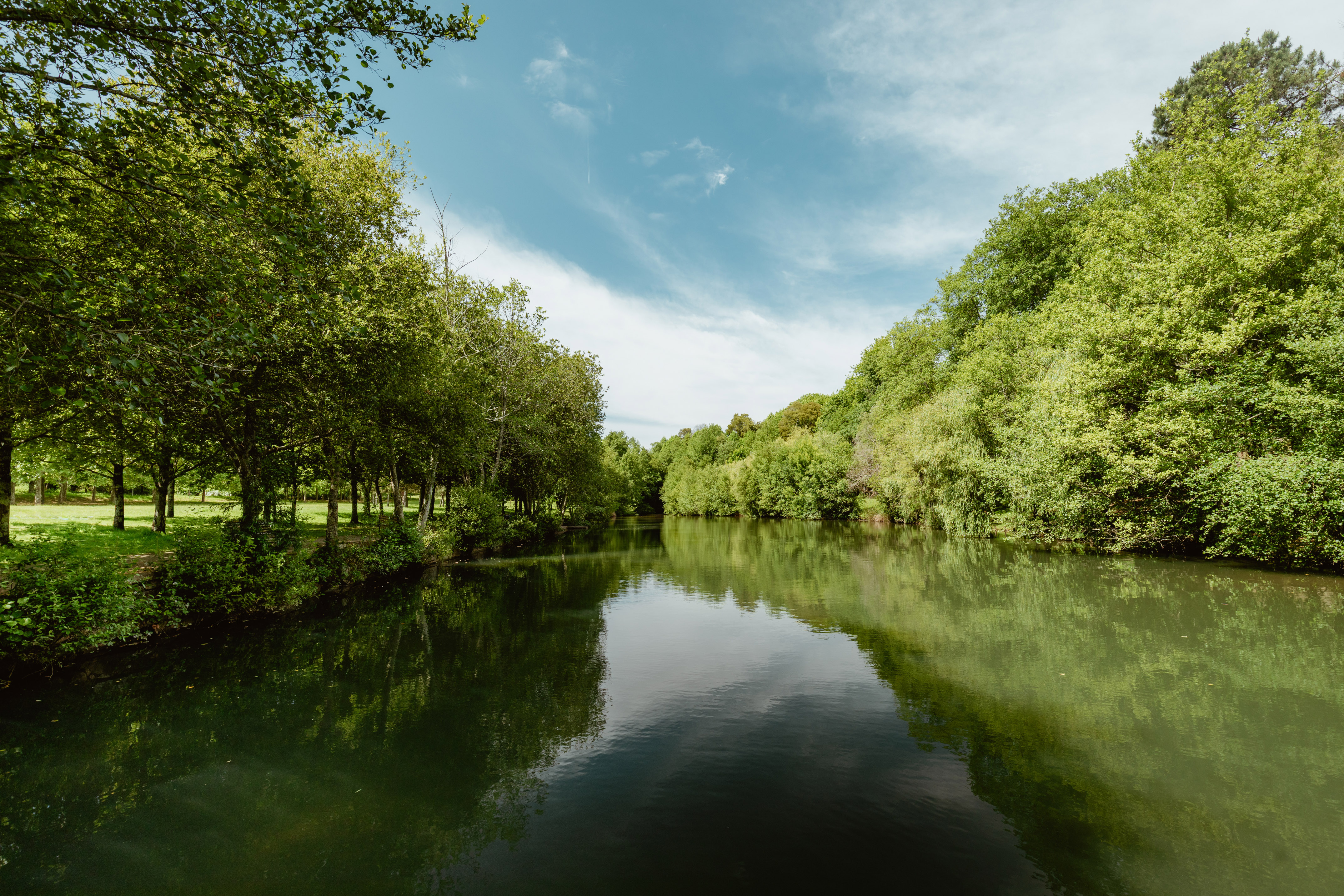 a river with trees around it
