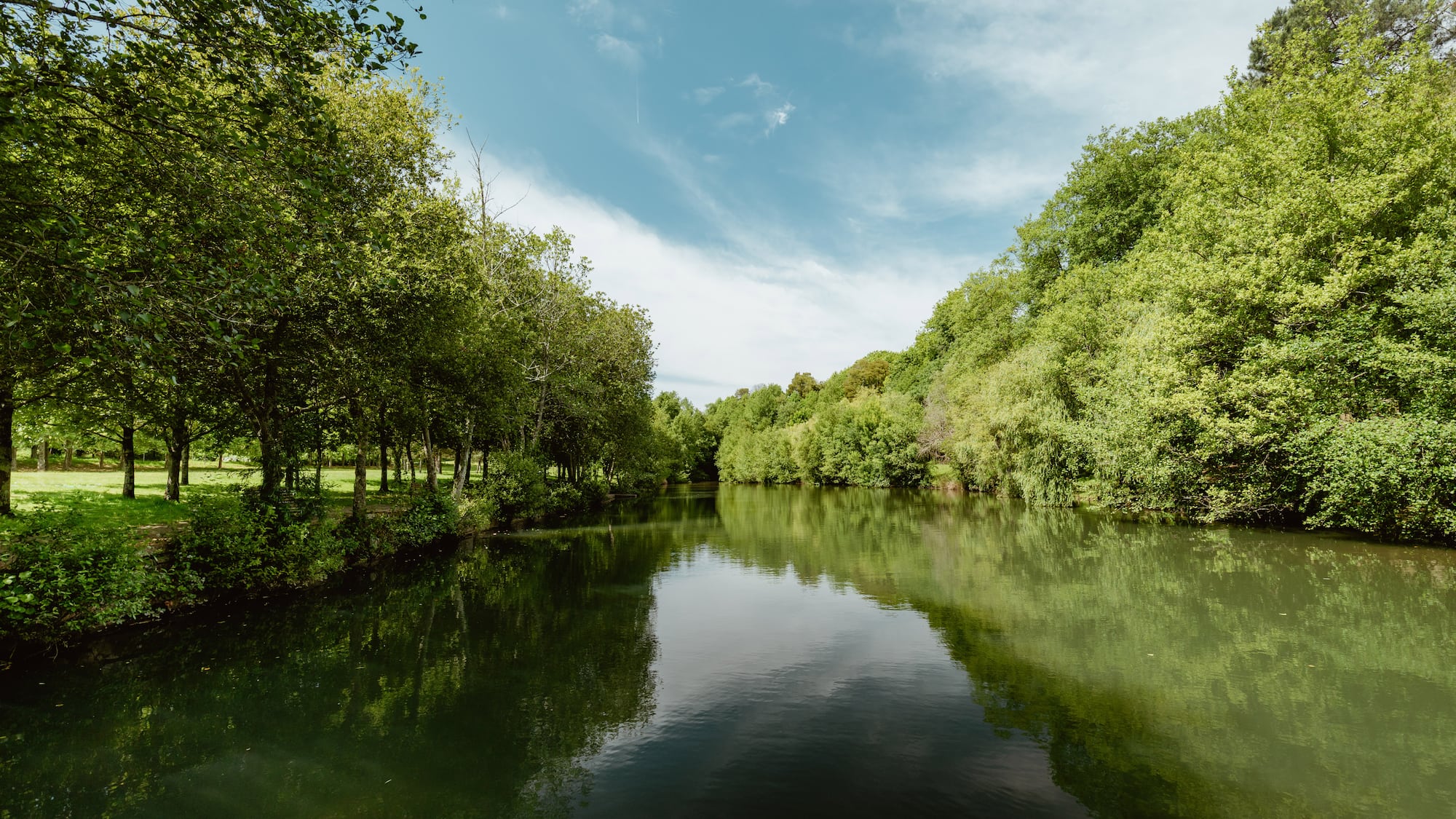 a river with trees around it