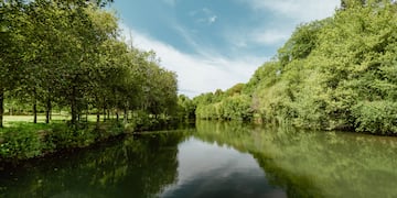 a river with trees around it