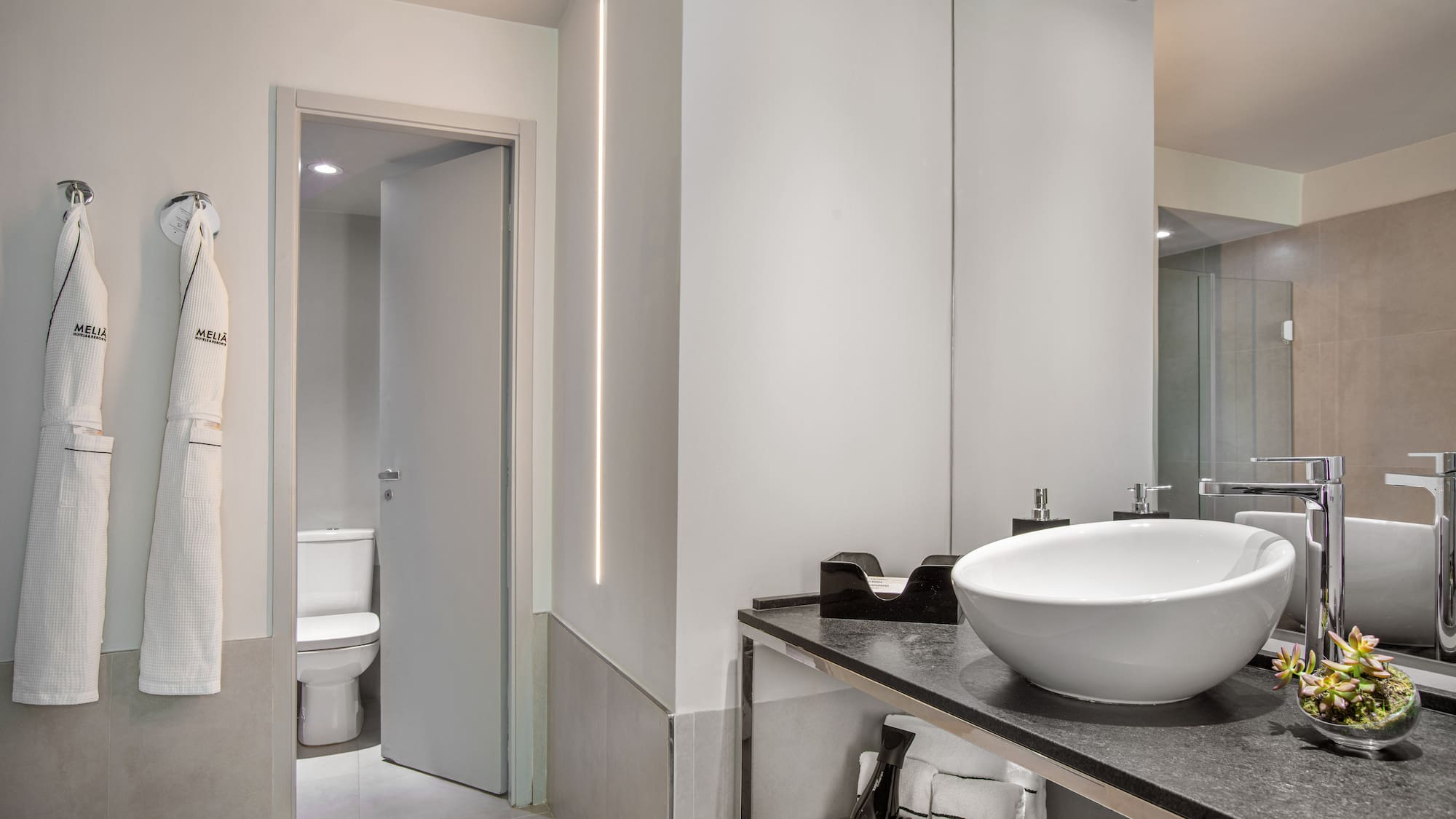 a bathroom with a sink and a toilet