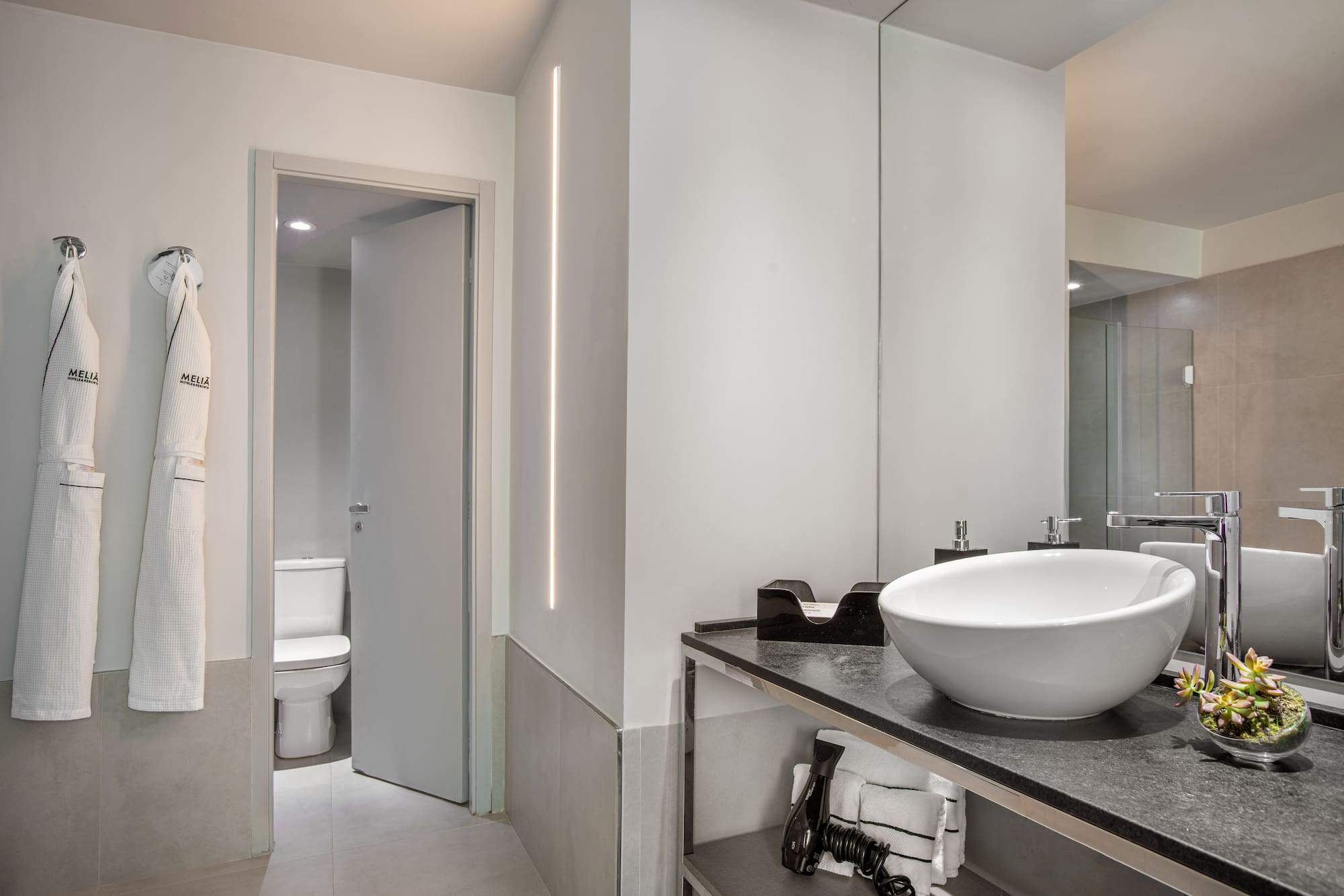 a bathroom with a sink and a toilet