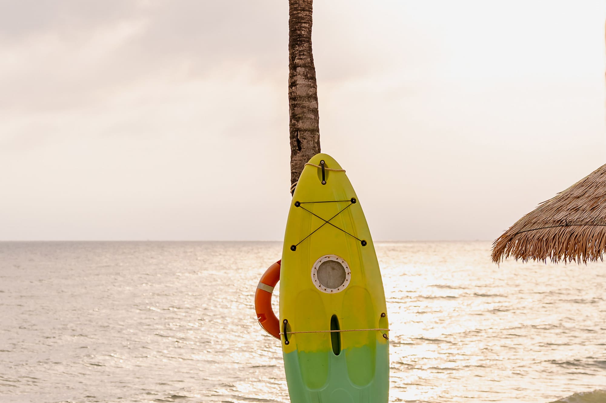 a surfboard leaning against a palm tree on a beach