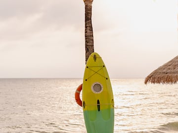 a surfboard leaning against a palm tree on a beach