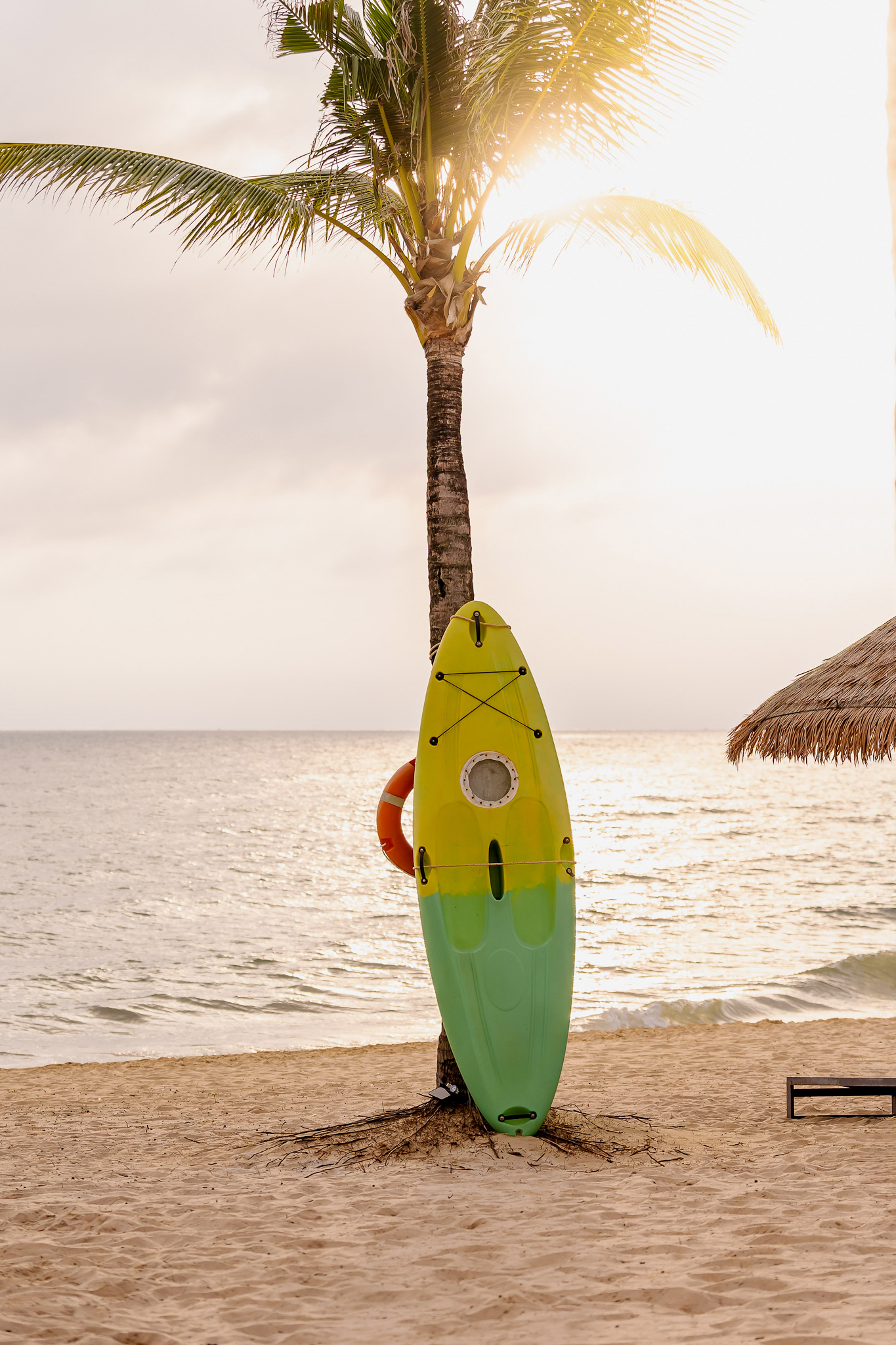 a surfboard leaning against a palm tree on a beach