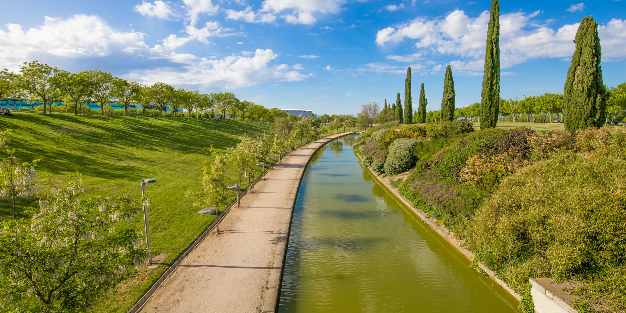 a water channel with trees and grass