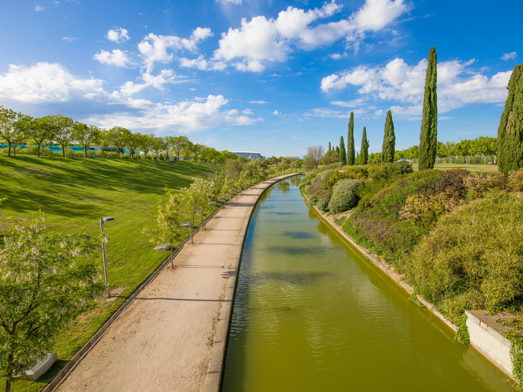 a water channel with trees and grass