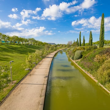 a water channel with trees and grass