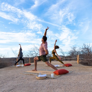 a group of people doing yoga outside