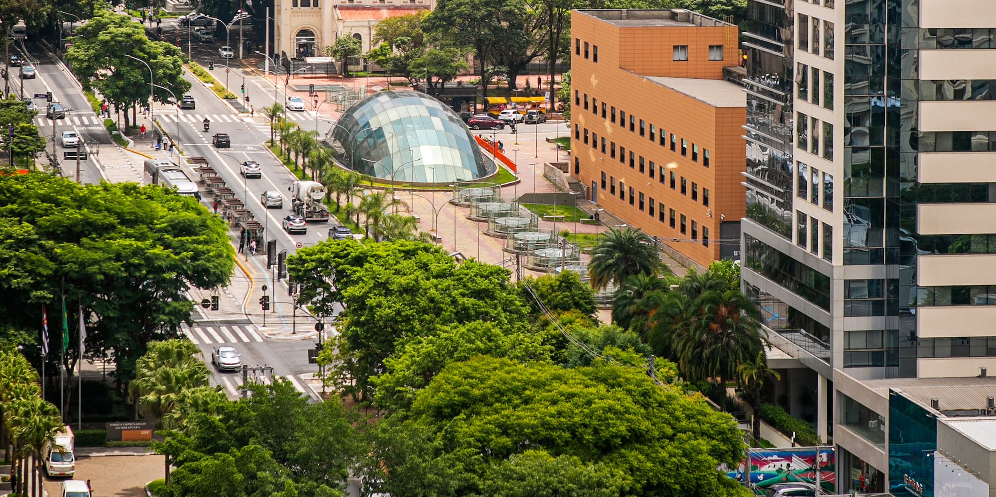 a city street with trees and buildings