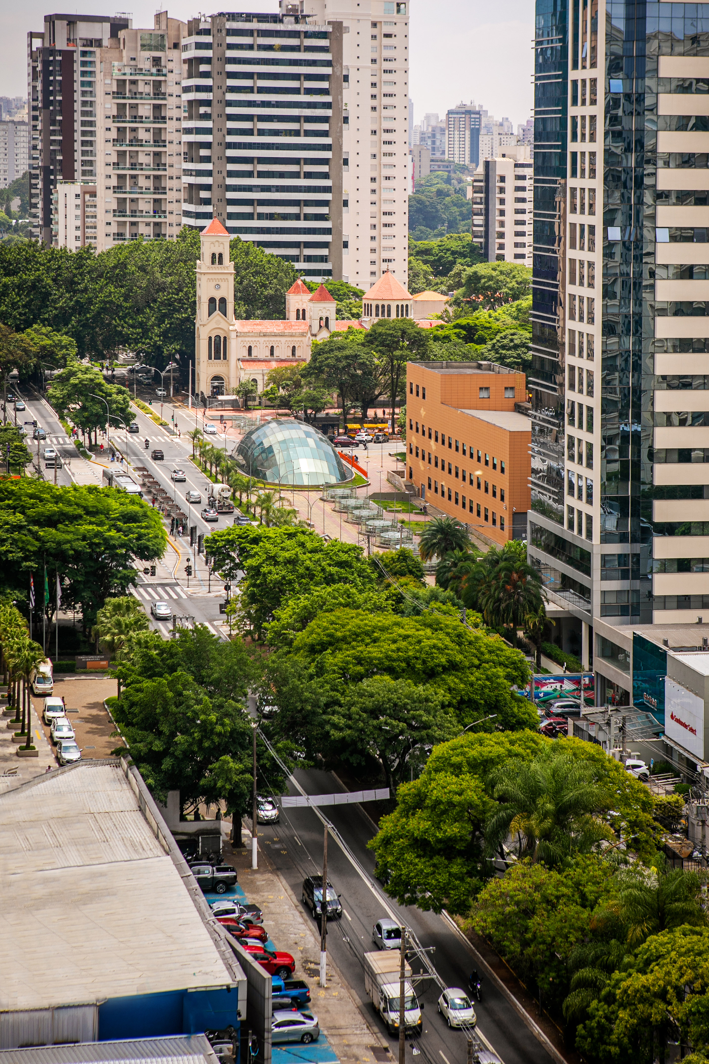 a city street with trees and buildings