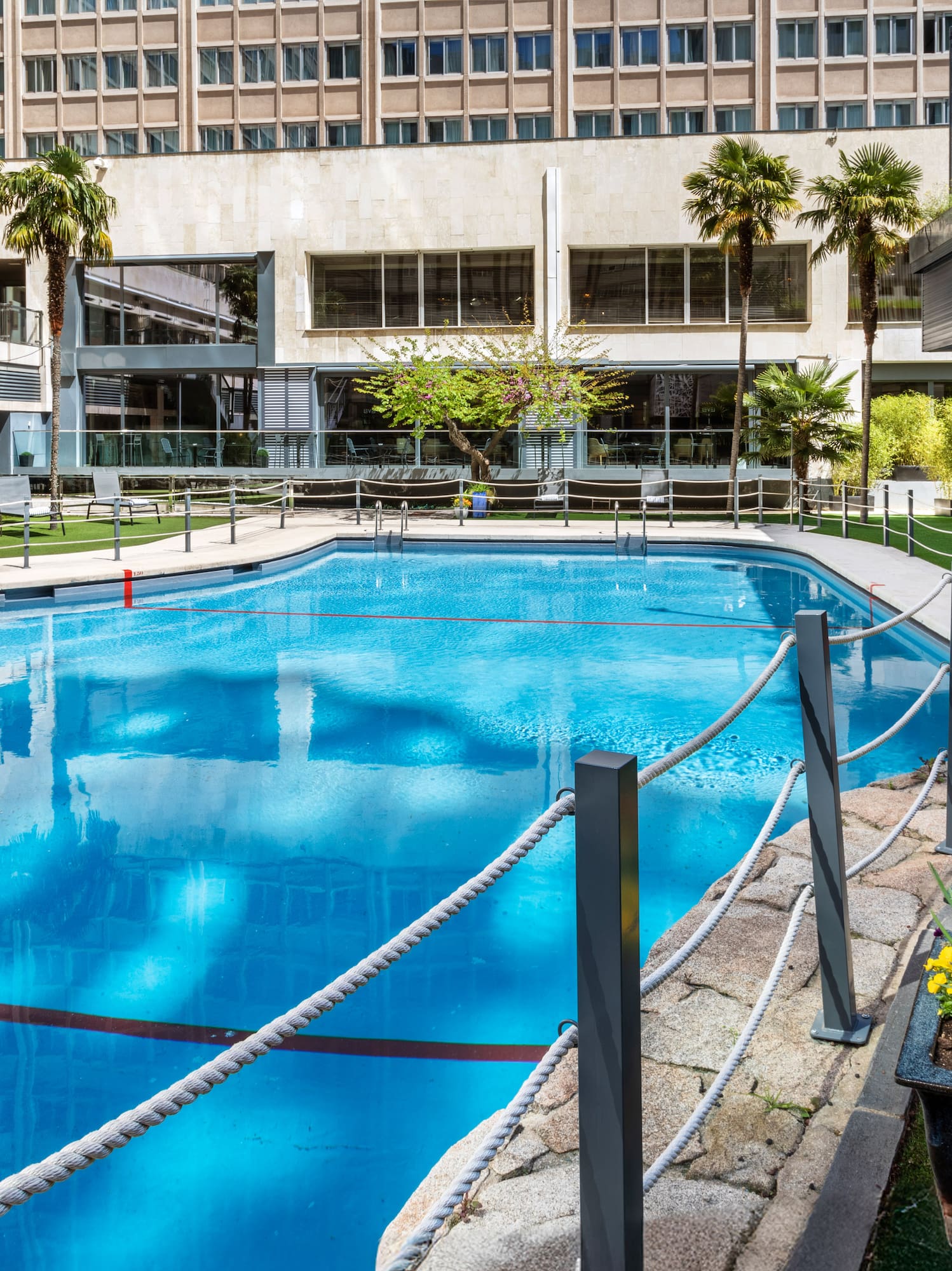 Outdoor swimming pool at a hotel complex with palm trees and lounge areas.