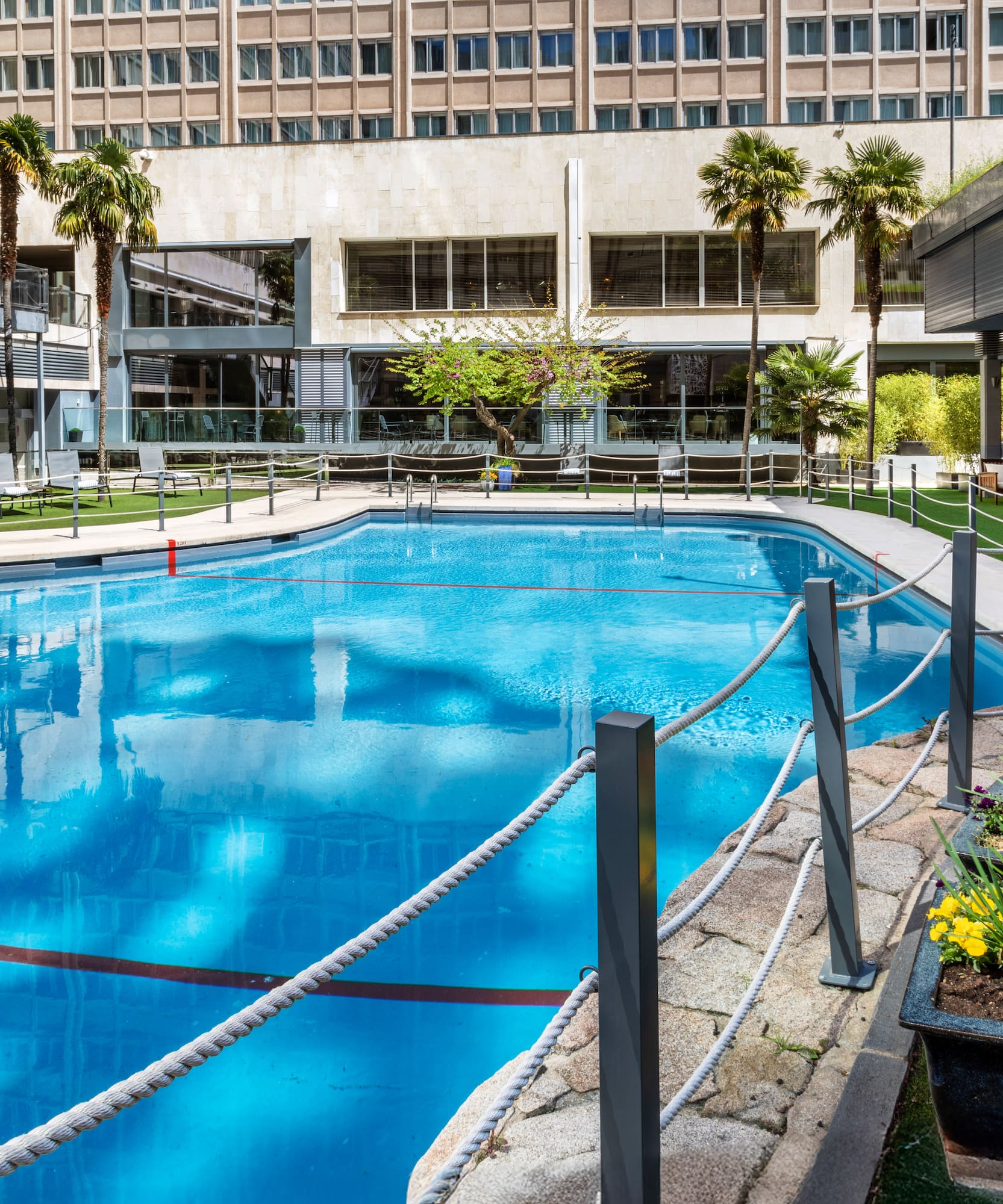 Outdoor swimming pool at a hotel complex with palm trees and lounge areas.