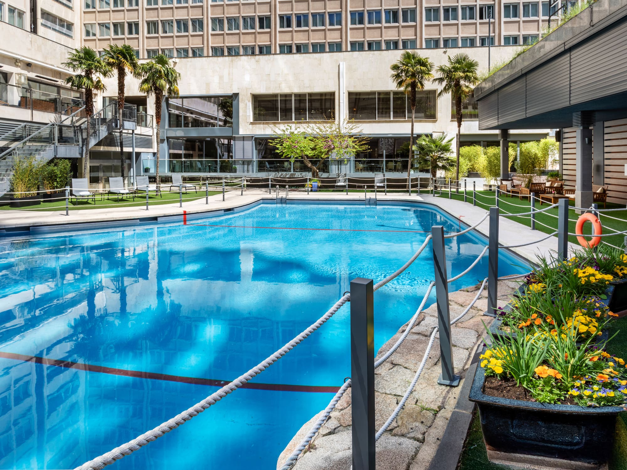 Outdoor hotel swimming pool with palm trees, sun loungers, and blue water.