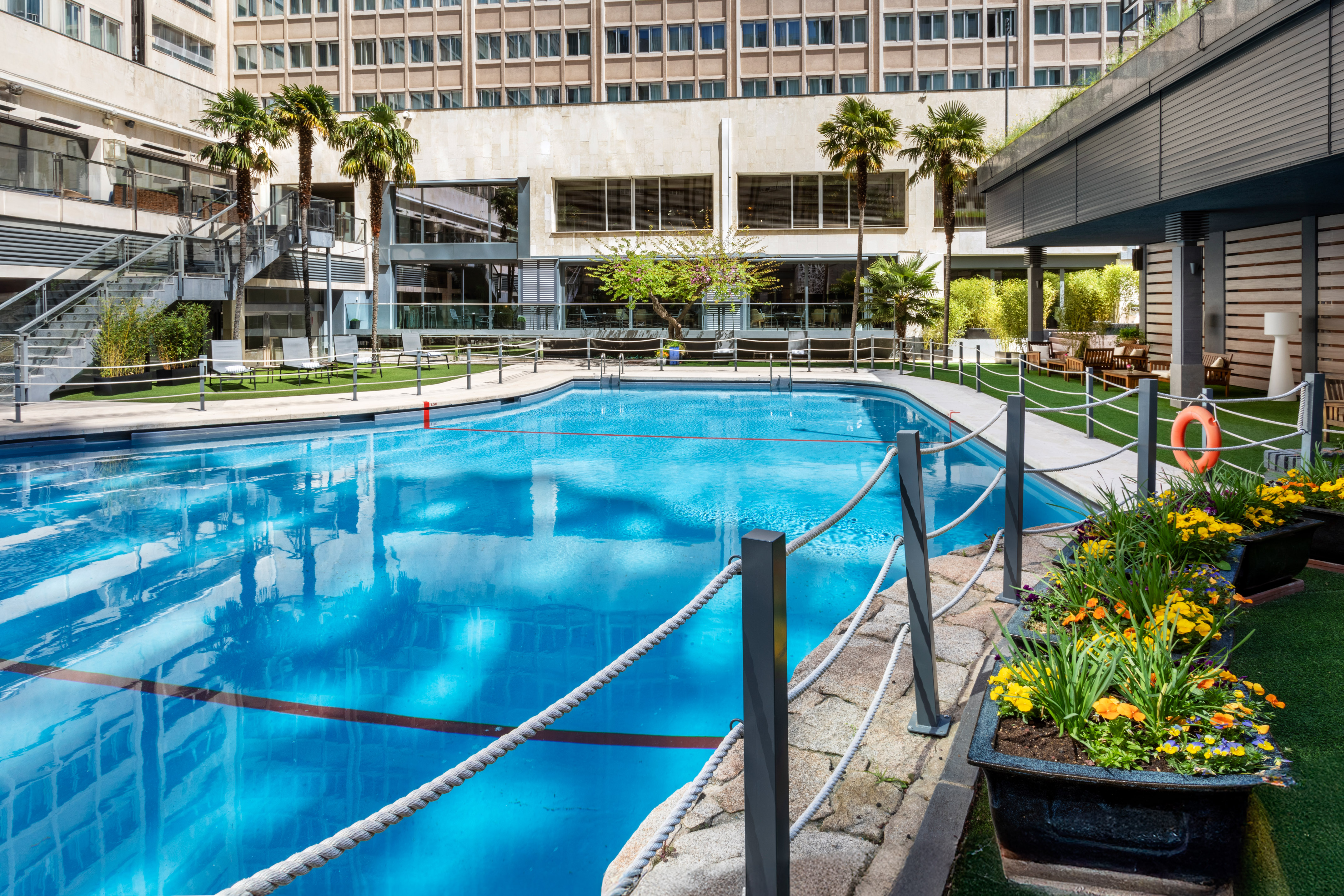 Outdoor hotel swimming pool with palm trees, sun loungers, and blue water.