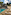 Resort swimming pool with sun loungers, palm trees, and a thatched cabana.
