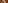 Cute poodle dog wearing a brown jacket with a festive gold backdrop.