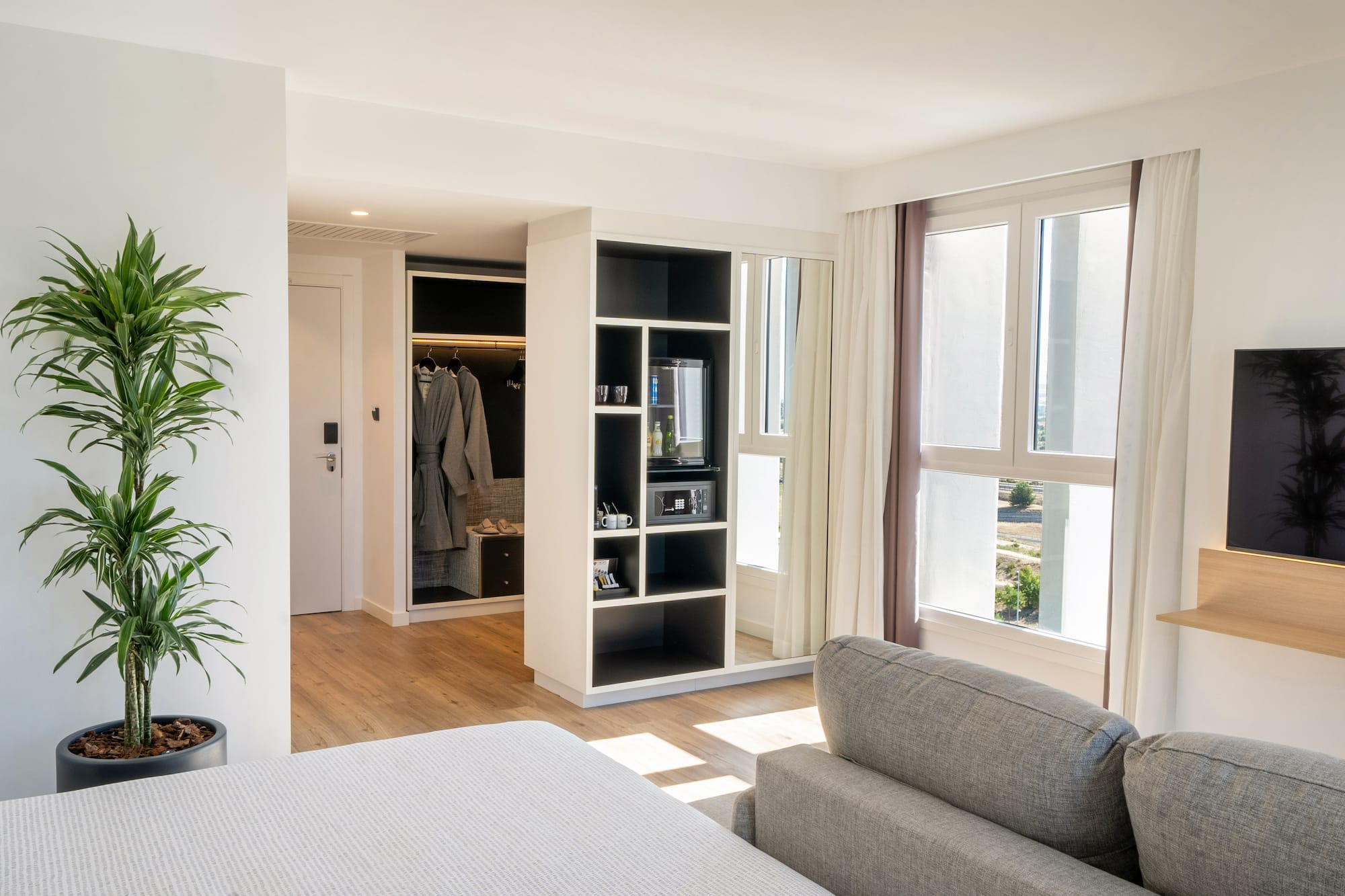 a room with a couch and a closet