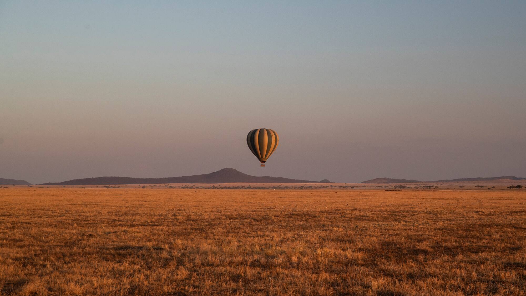 a hot air balloon in the sky