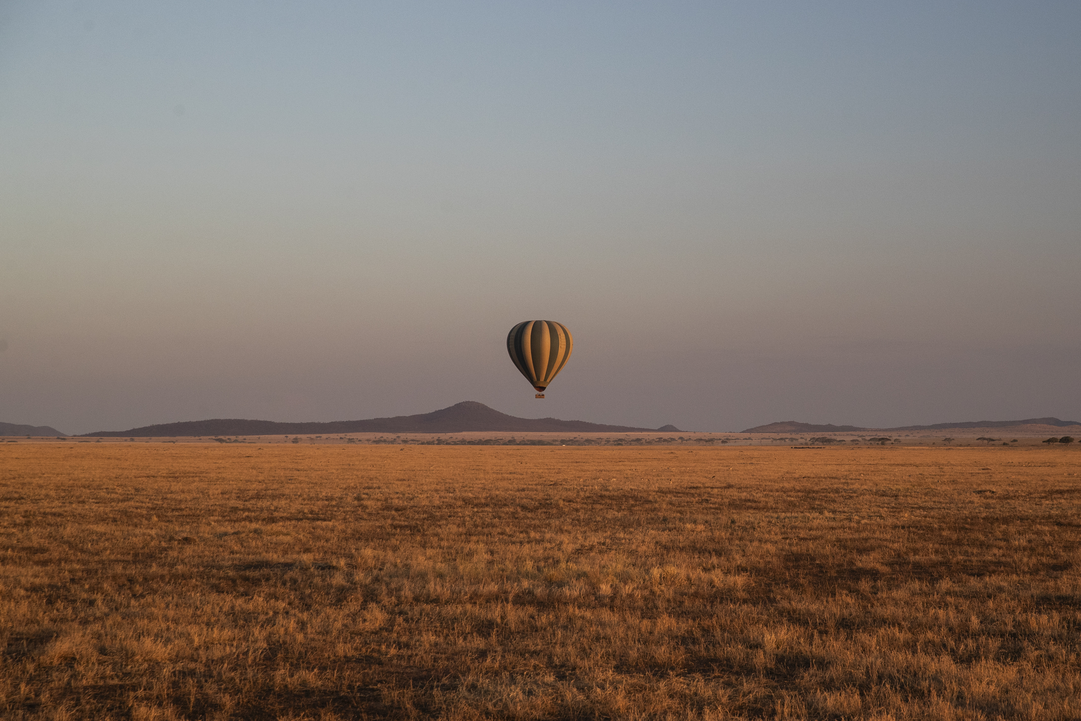 a hot air balloon in the sky