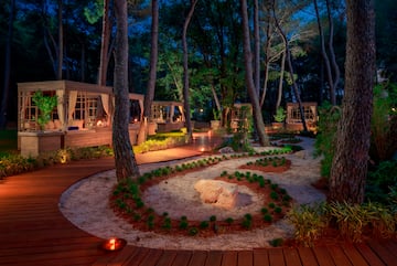 a garden with trees and lights