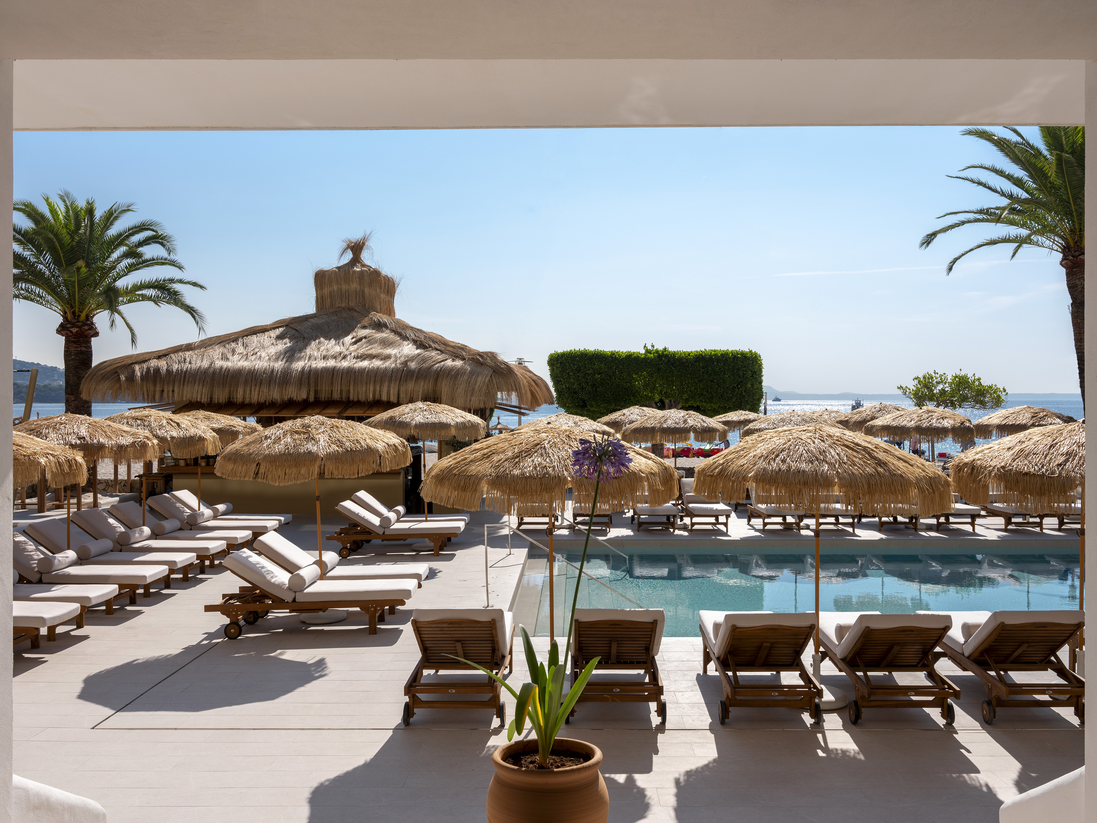 Resort pool with straw umbrellas, sun loungers, palm trees, and sea.