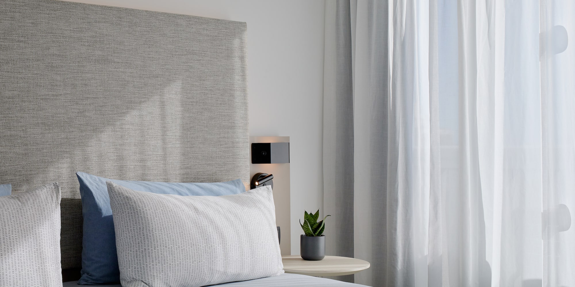 a bed with a plant on the side table