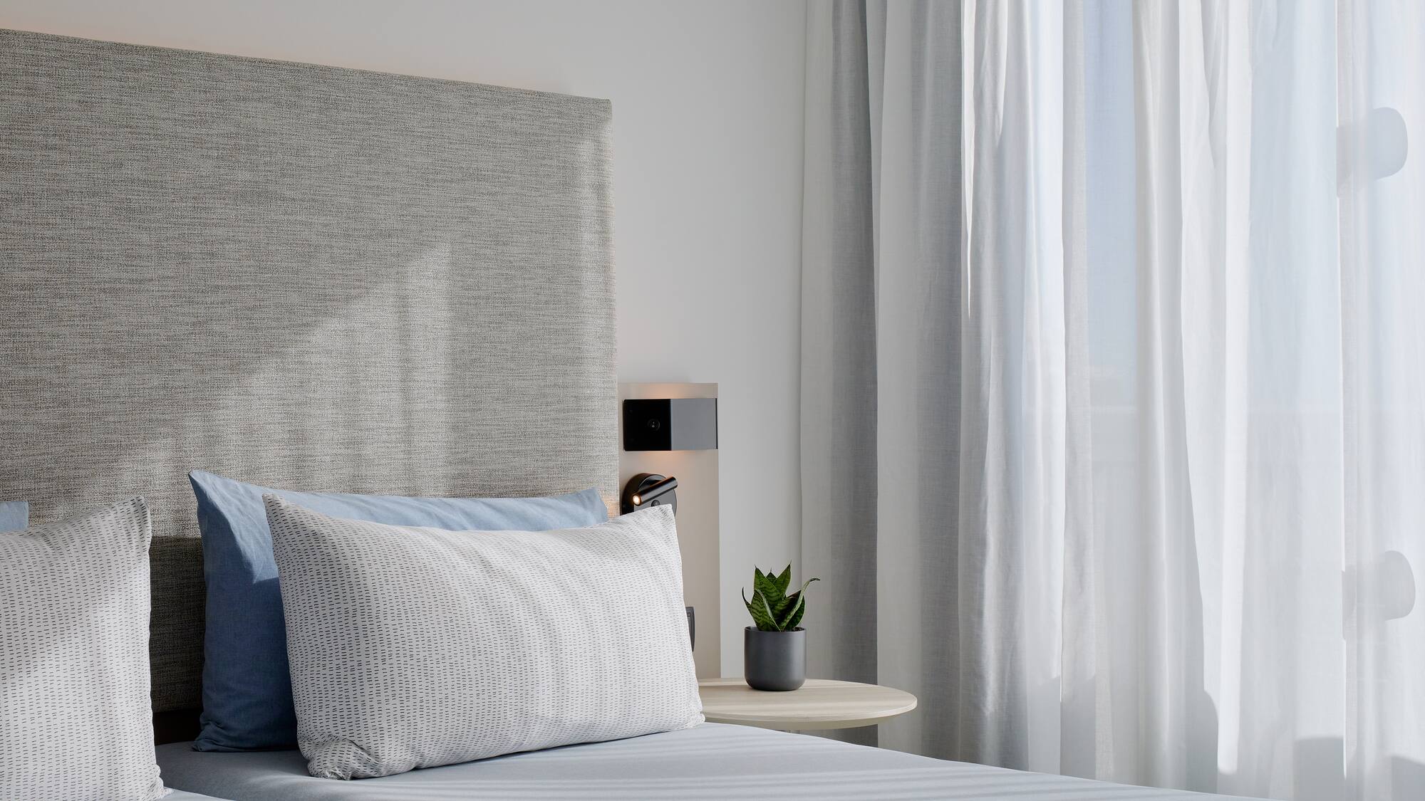 a bed with a plant on the side table