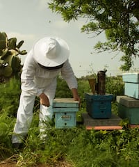 a man in a white hat and white beehive standing next to a stack of boxes