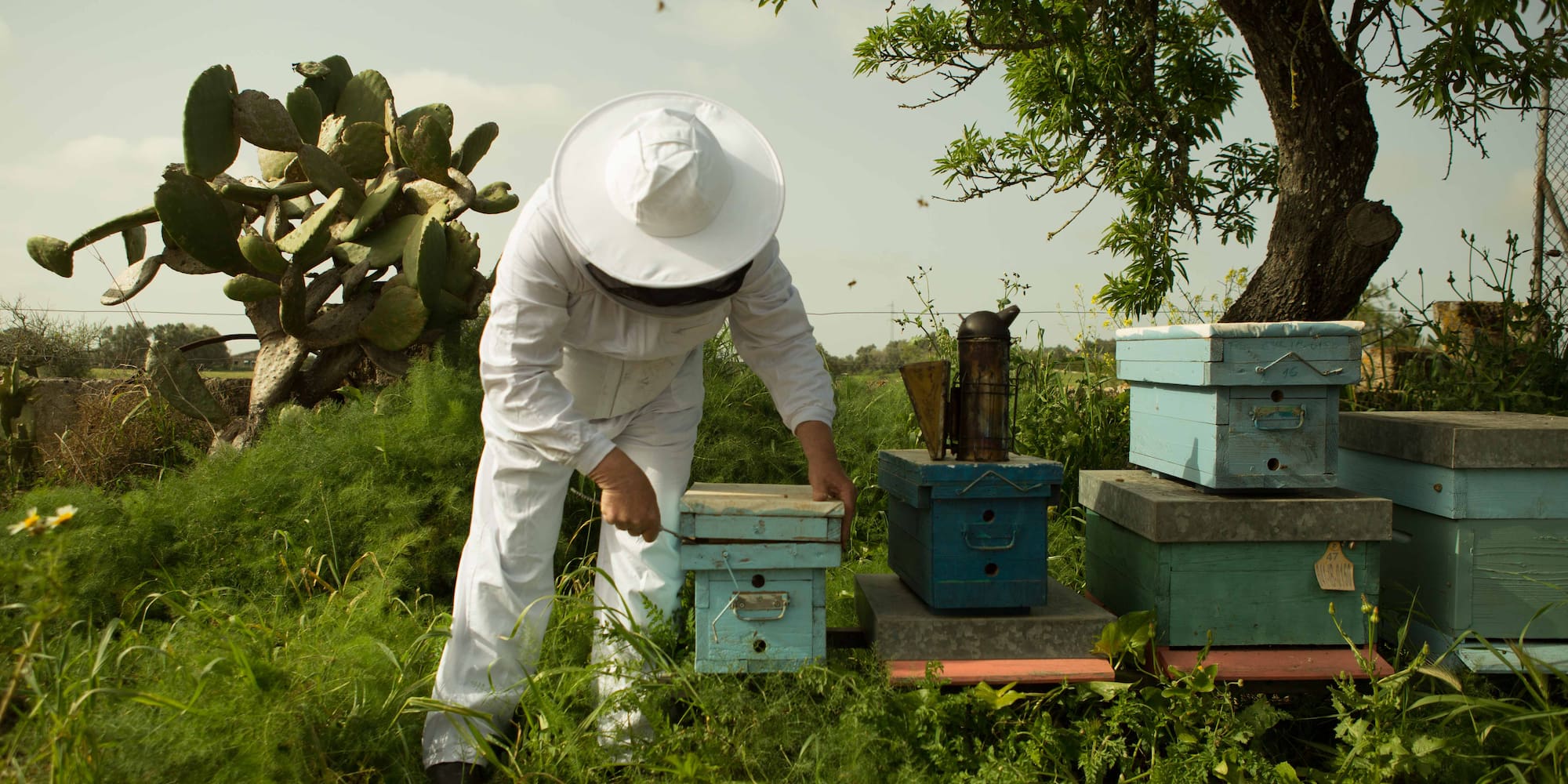 a man in a white hat and white beehive standing next to a stack of boxes