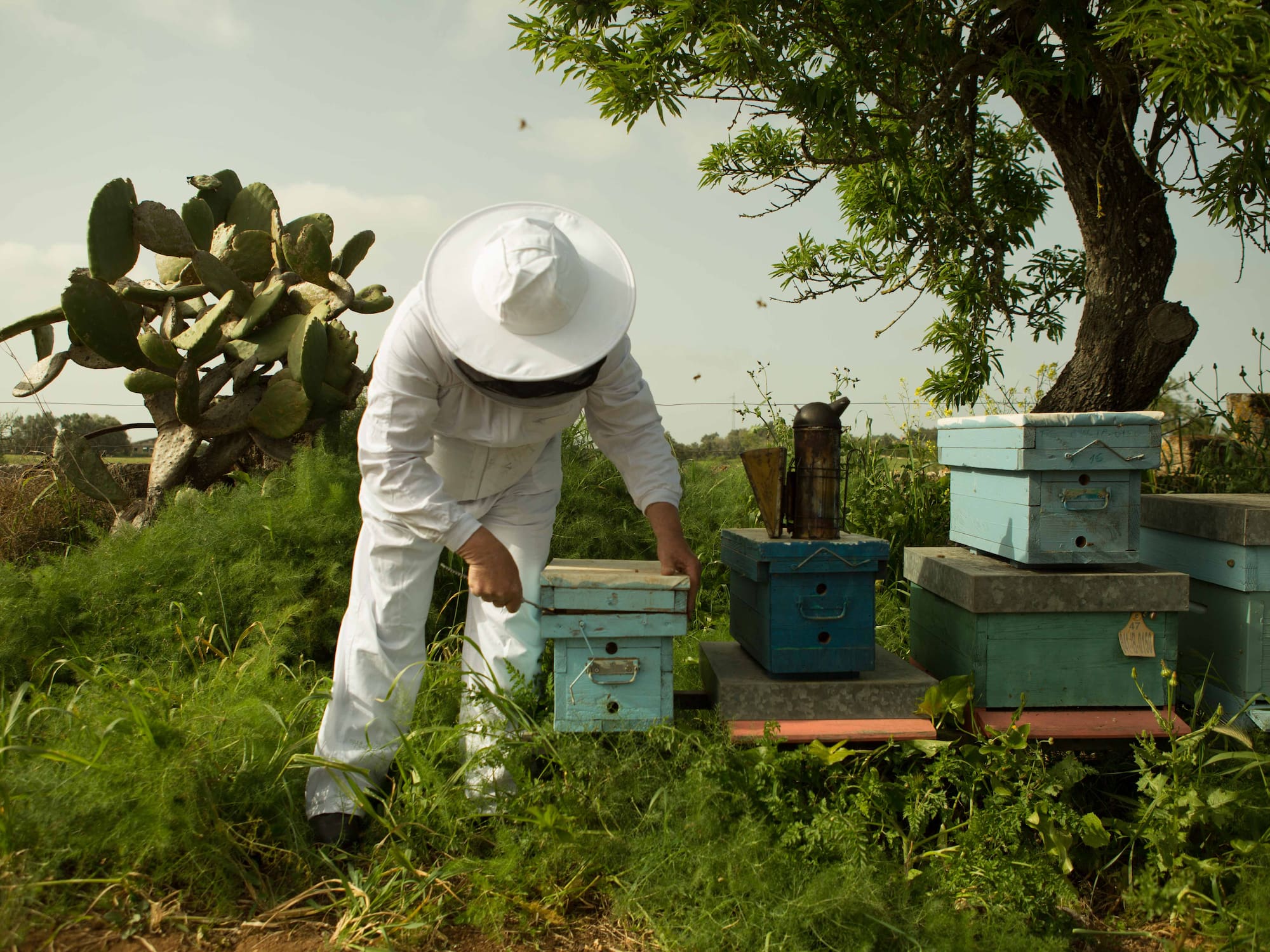a man in a white hat and white beehive standing next to a stack of boxes