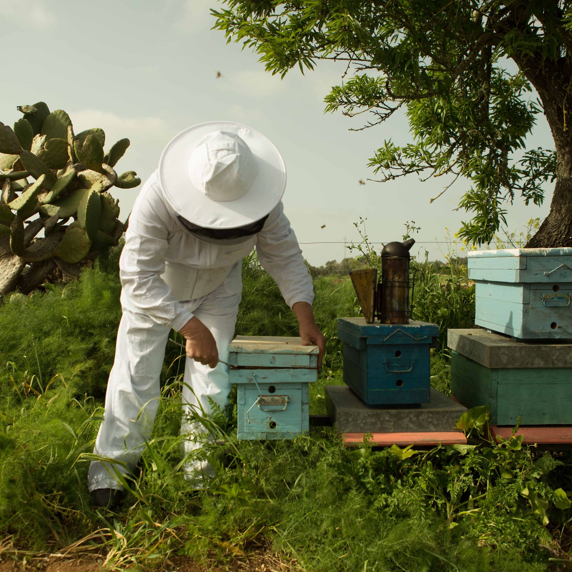 a man in a white hat and white beehive standing next to a stack of boxes