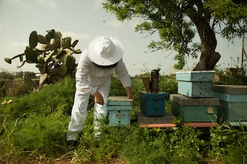 a man in a white hat and white beehive standing next to a stack of boxes