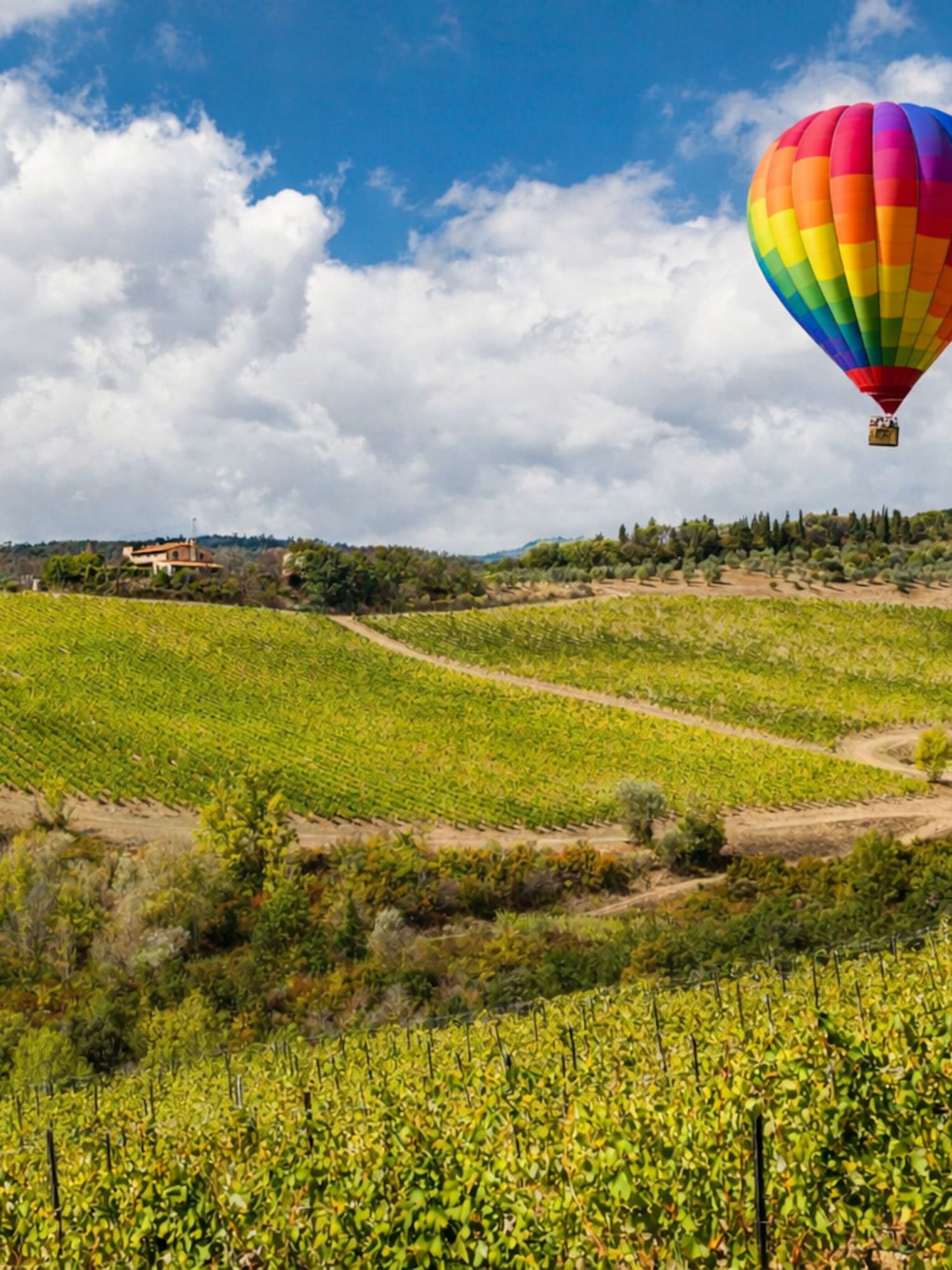 Vibrant rainbow hot air balloon above lush green vineyards and hills.