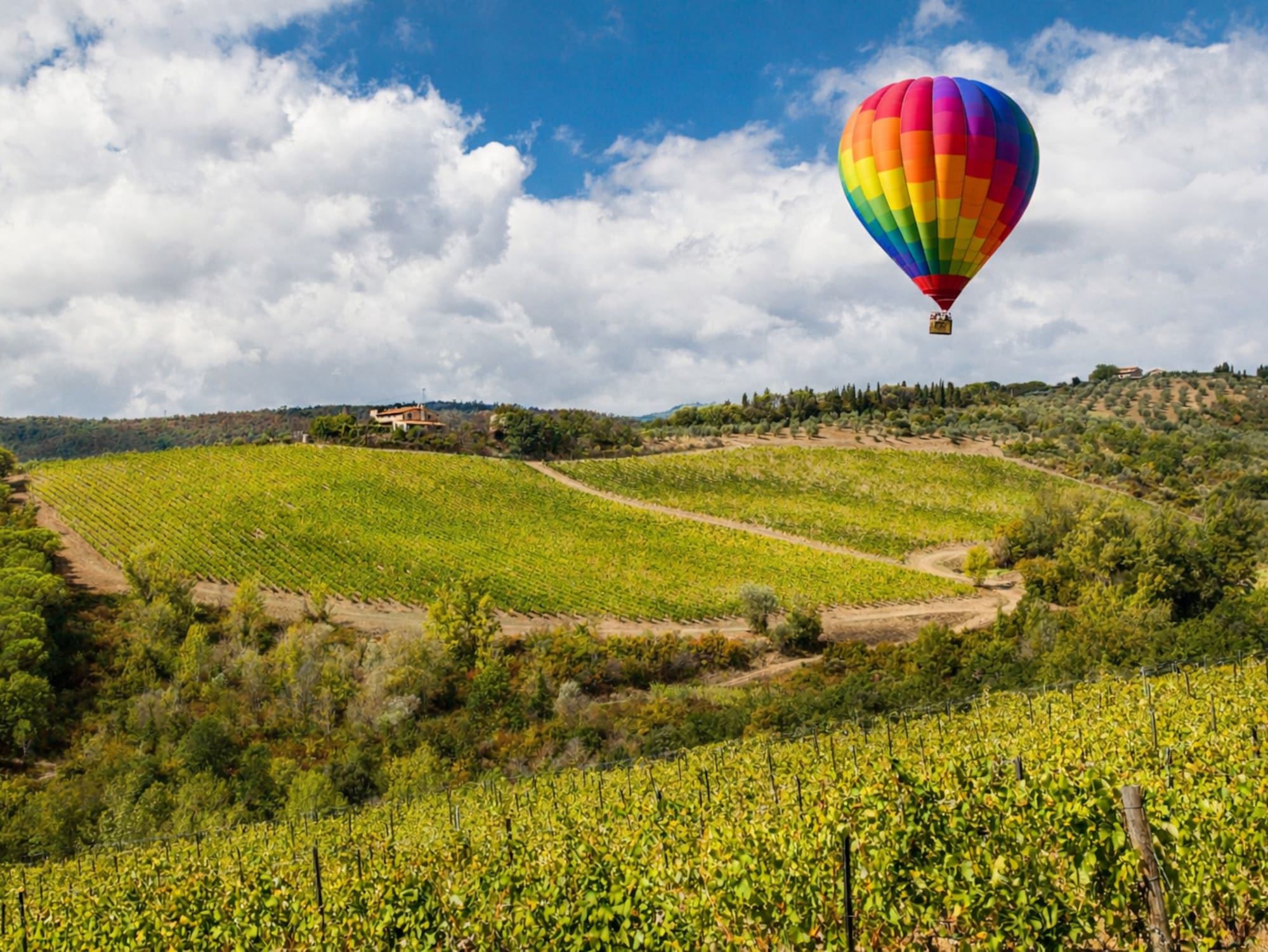Vibrant rainbow hot air balloon above lush green vineyards and hills.