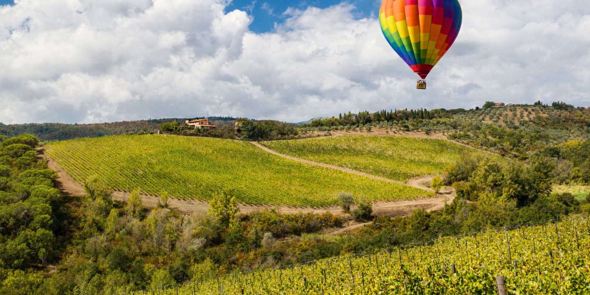 Vibrant rainbow hot air balloon above lush green vineyards and hills.