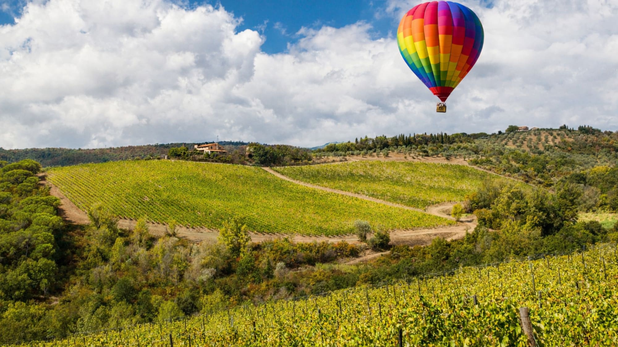 Rainbow hot air balloon over lush Italian vineyards and rolling hills.