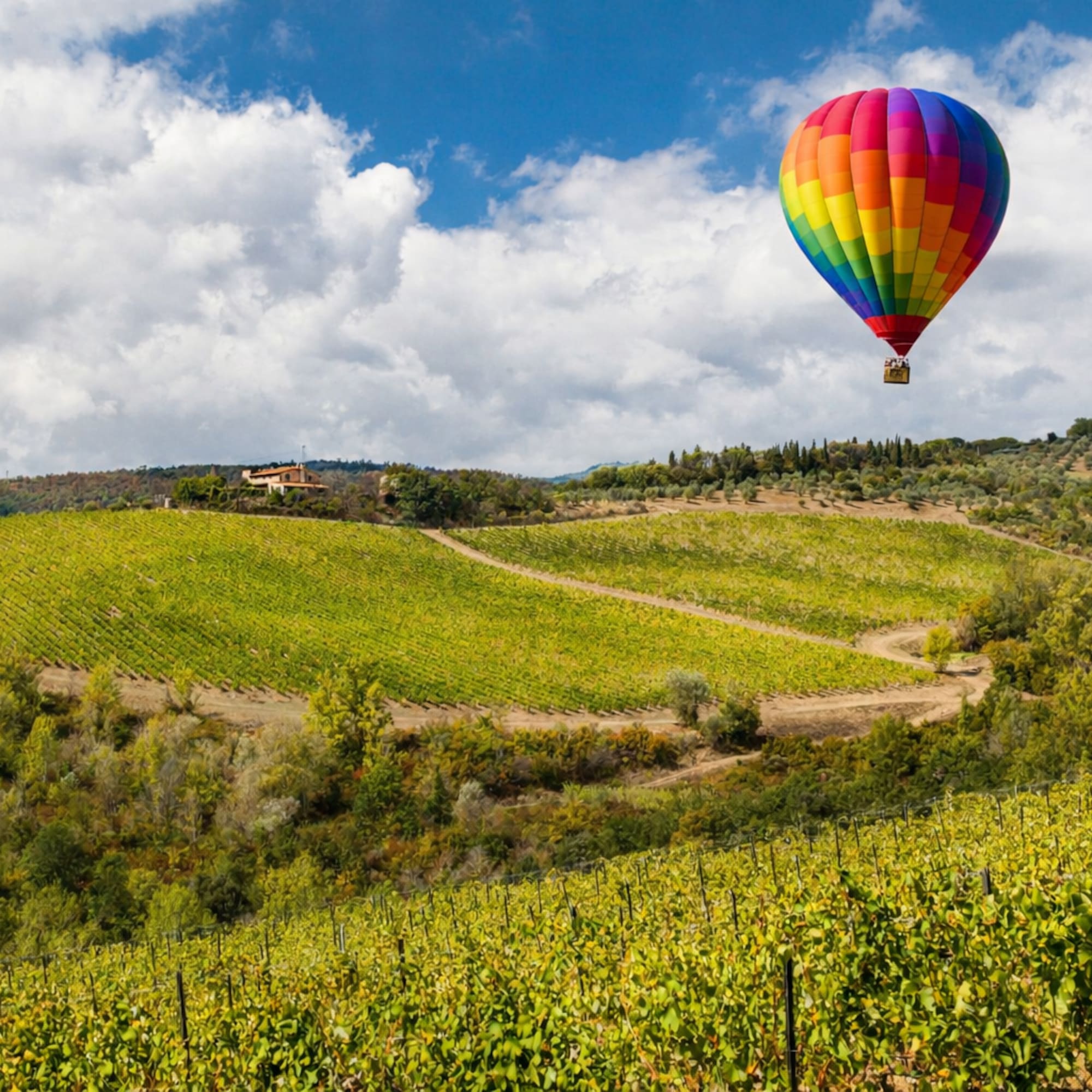 Vibrant rainbow hot air balloon above lush green vineyards and hills.